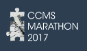 logo CCMS Marathon 2017